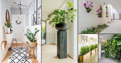 30 Mesmerizing Corridor Decoration Ideas with Plants - balconygardenweb.com