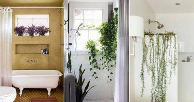 12 Great Vining Houseplants for Bathroom | Trailing Indoor Plants - balconygardenweb.com