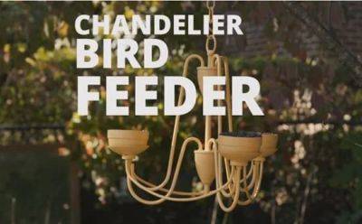 Turn An Old Chandelier Into A DIY Bird Feeder - balconygardenweb.com