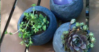 DIY Mini Cement Balloon Planters - hometalk.com