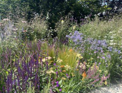 RHS Hampton Court Palace Garden Festival 2023 - theenglishgarden.co.uk - state Oregon - state South Carolina