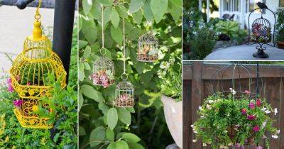 9 Cool DIY Birdcage Planter Ideas - balconygardenweb.com