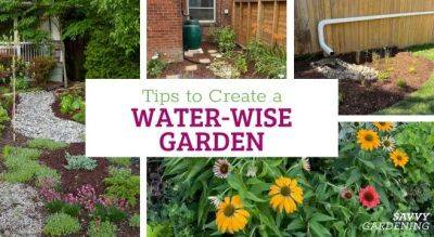 Tips to Create a Water-Wise garden - savvygardening.com - Usa