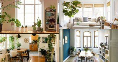 40 Awesome Indoor Plant Ideas for Large Rooms - balconygardenweb.com