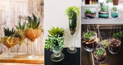 How to Grow Succulents in Wine Glasses | 10 DIY Wine Glass Terrariums - balconygardenweb.com