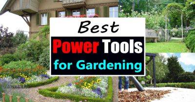 Best Power Tools For Gardening | Garden Power Tools - balconygardenweb.com