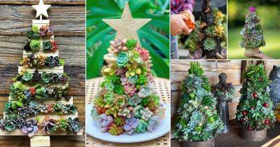 30 Charming Succulent Christmas Trees - balconygardenweb.com