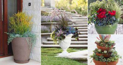 25 Container Gardening Arrangements For Lazy, Forgetful & Busy Gardeners - balconygardenweb.com