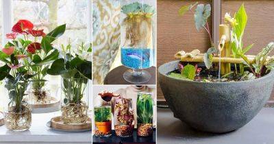 25 Great DIY Indoor Water Garden Ideas - balconygardenweb.com