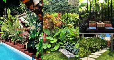 35 Beautiful Tropical Backyard Pictures - balconygardenweb.com