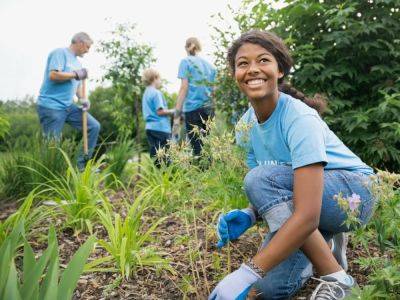 Community Garden Sustainability – Grow A Greener Community - gardeningknowhow.com - Britain - Australia