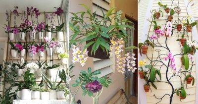 14 Cool Indoor Orchid Decor Ideas to Display them in Style - balconygardenweb.com