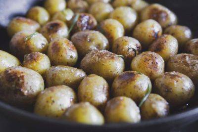 Grow Your Own New Potatoes for Christmas - treehugger.com
