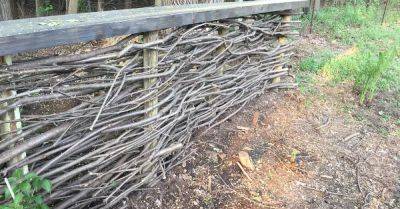 Turning Dreaded Buckthorn Into an English Wattle Fence - hometalk.com - Britain