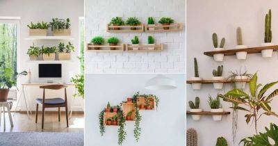 20 Eye Catching Plant Shelves Ideas - balconygardenweb.com