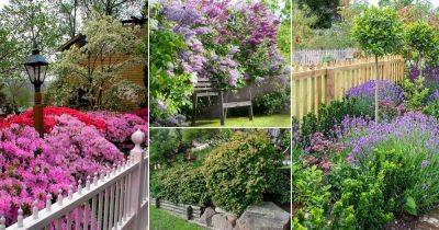 26 Most Beautiful Flowers for Hedges - balconygardenweb.com