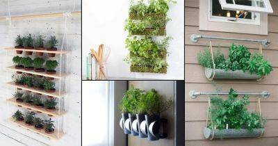 18 Impressive DIY Herb Wall Ideas - balconygardenweb.com