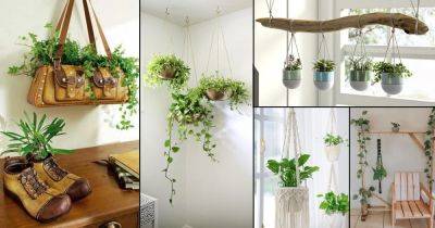 42 Clever Ways to Hang Your Plants - balconygardenweb.com