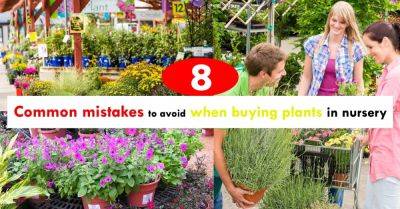 8 Common Mistakes To Avoid When Buying Plants From Nursery | Gardening Mistakes - balconygardenweb.com