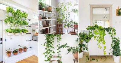 22 Stunning Ways to Display Pothos in Home - balconygardenweb.com