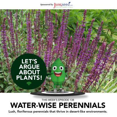 Episode 138: Water-Wise Perennials - finegardening.com - state Iowa - county Garden
