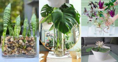 30 Pretty Indoor Plants in Water Garden Ideas - balconygardenweb.com