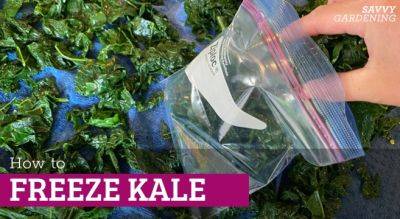 How to Freeze Kale: A Step by Step Guide - savvygardening.com - Russia