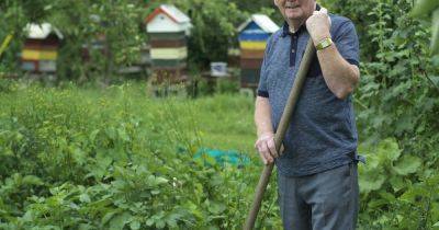 ‘Bees - endlessly fascinating creatures that could teach us all a lot’ - irishtimes.com - Ireland