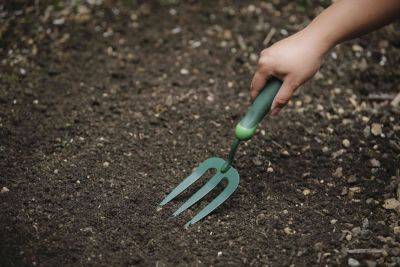 4 Gardening "Hacks" That Don't Work, According to a Pro - thespruce.com