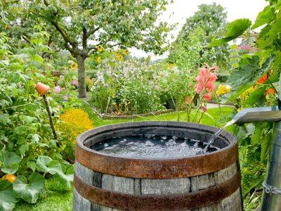 Sustainable Gardening - What Makes A Garden Sustainable? - gardeningknowhow.com