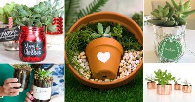 40 DIY Gift Ideas for Succulent Lovers | Best Succulent Gift - balconygardenweb.com