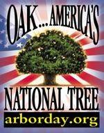 National Oak Trees - gardenerstips.co.uk - Usa - Britain - Germany - Ireland - Poland - Portugal