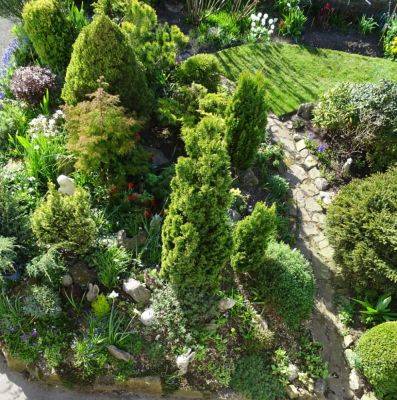 Rock On With My Garden - gardenerstips.co.uk - county Garden