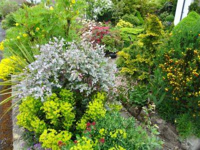 Ideas for Better Garden Photographs - gardenerstips.co.uk