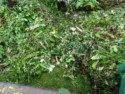 Woody Prunings and Compost - gardenerstips.co.uk