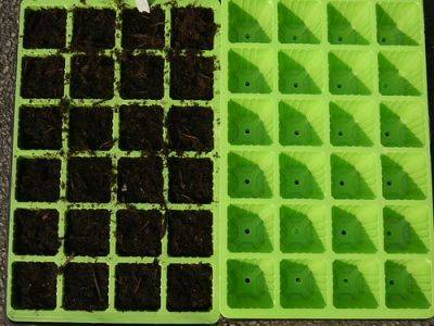 Seed Tray Review and Tips - gardenerstips.co.uk