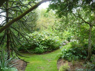 Design Tips for a Physic Garden - gardenerstips.co.uk