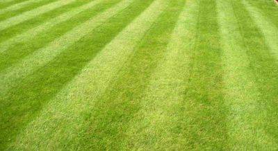 The First ‘Lawn Arranger’ - gardenerstips.co.uk