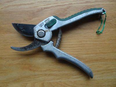 Secateurs and Why I Choose Them - gardenerstips.co.uk