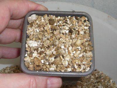 Vermiculite for Gardeners - gardenerstips.co.uk