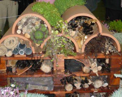 Insect Heaven for Your Garden - gardenerstips.co.uk