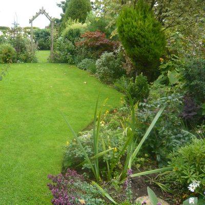 Autumn Lawn Treatment - gardenerstips.co.uk
