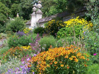 Oxford Botanic Garden Flowers – August - gardenerstips.co.uk