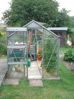 Greenhouse Wind Protection Tips - gardenerstips.co.uk