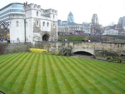 Lawns are not Eco Friendly - gardenerstips.co.uk - Britain