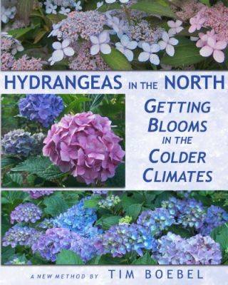 My Climbing Hydrangea - gardenerstips.co.uk