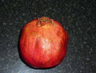 Pomegranate Growing & Health - gardenerstips.co.uk - Britain - Iran