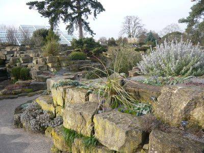 Rock Gardens in Miniature - gardenerstips.co.uk - county Garden
