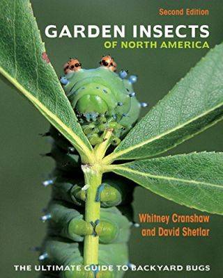 Good Bugs Bad Bugs - gardenerstips.co.uk