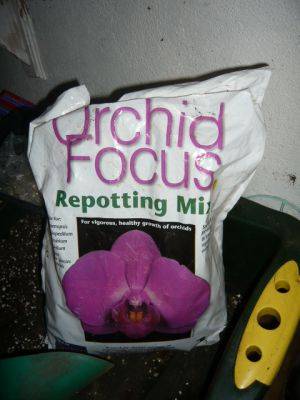 Orchid Compost a Treat for Orchids - gardenerstips.co.uk